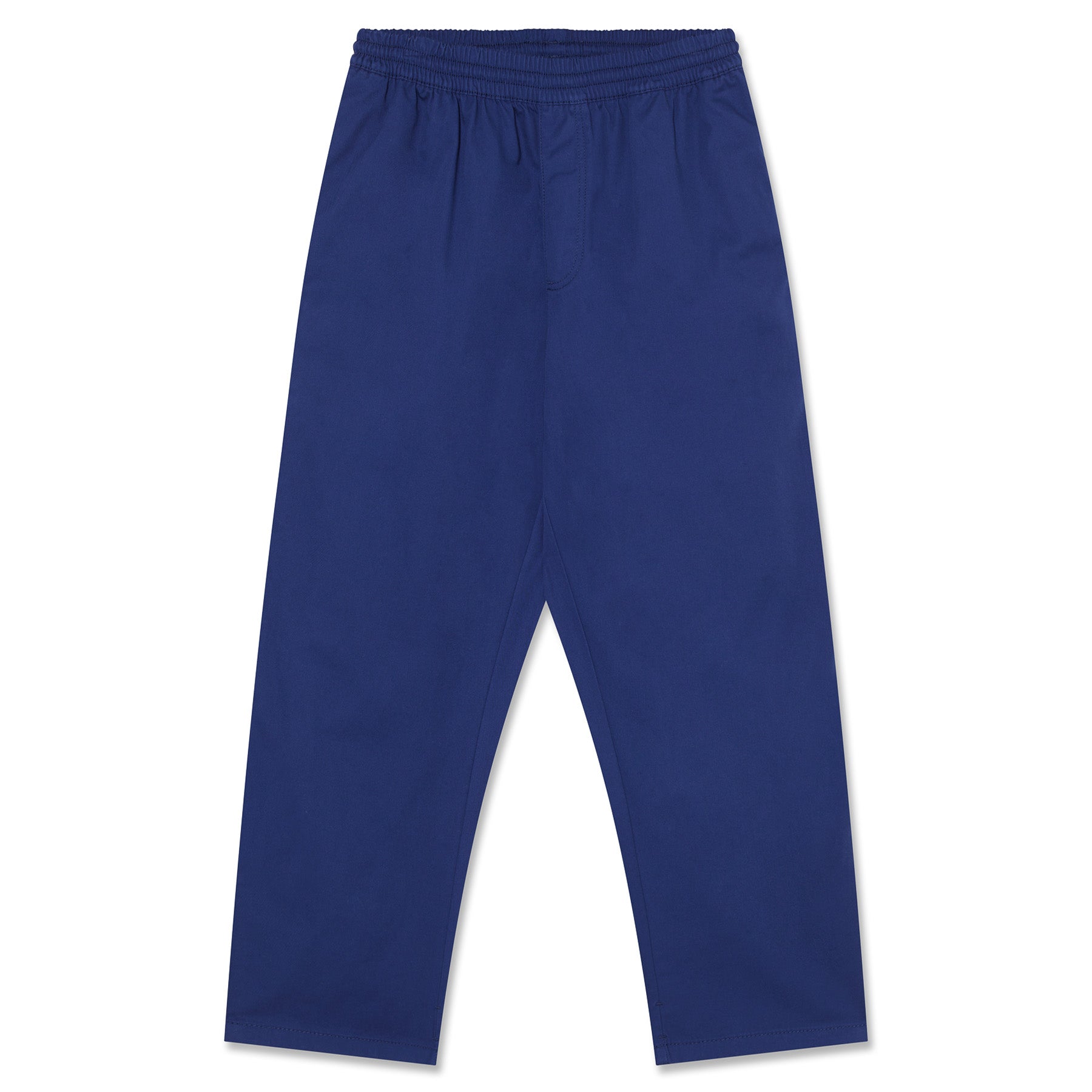 Polar Skate Co. Surf Pants Dark Blue
